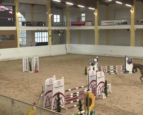 Reitturnier Stadl-Paura 2024