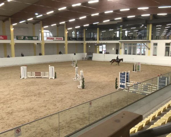 Reitturnier Stadl-Paura 2024