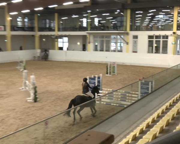 Reitturnier Stadl-Paura 2024