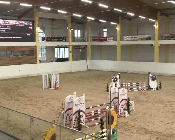 Reitturnier Stadl-Paura 2024