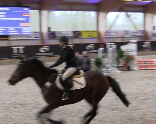 Reitturnier Goch-Asperden 2024