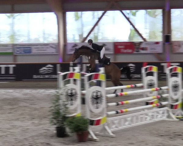 Reitturnier Goch-Asperden 2024