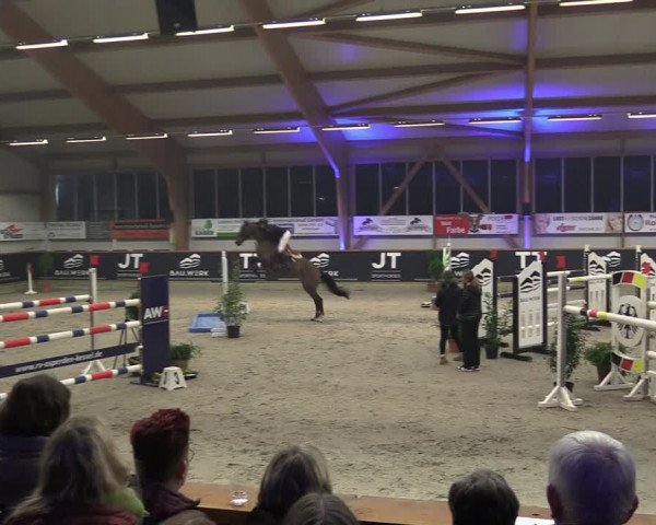 Reitturnier Goch-Asperden 2024