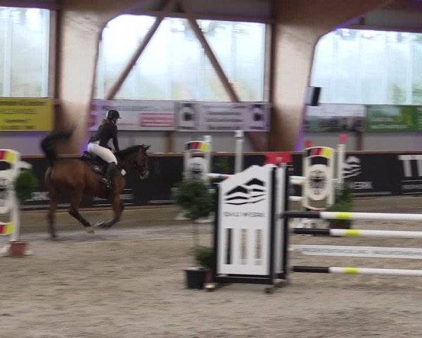 Reitturnier Goch-Asperden 2024