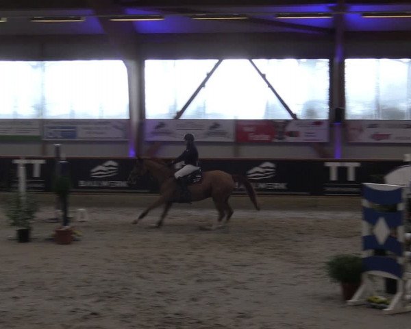 Reitturnier Goch-Asperden 2024