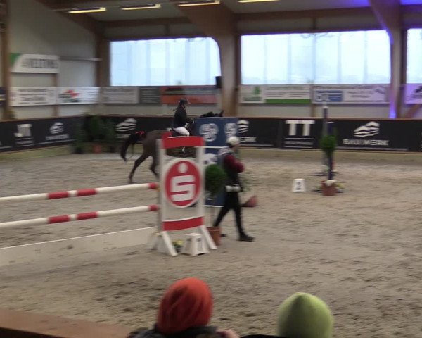 Reitturnier Goch-Asperden 2024