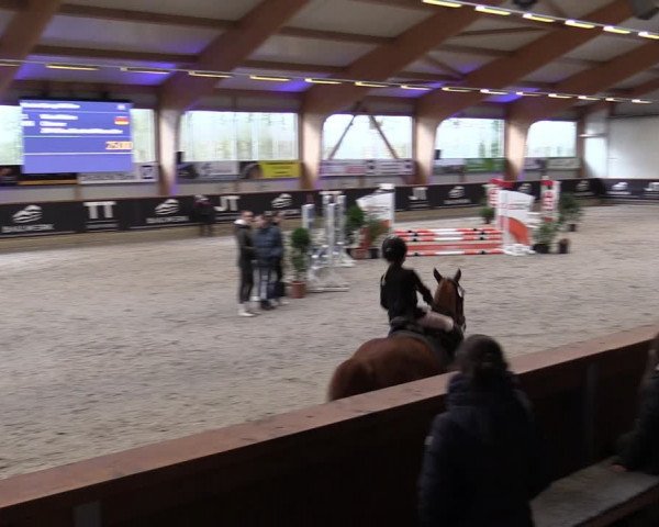 Reitturnier Goch-Asperden 2024