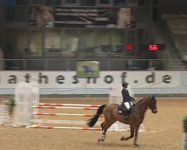 Reitturnier Kreuth/Opf. 2024
