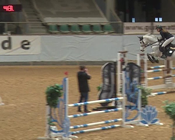 Reitturnier Kreuth/Opf. 2024