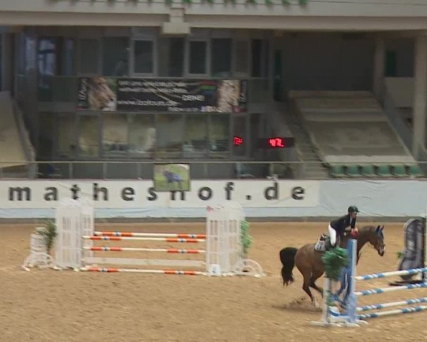 Reitturnier Kreuth/Opf. 2024