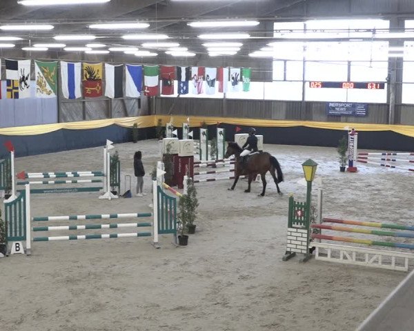 Reitturnier Erlen 2024