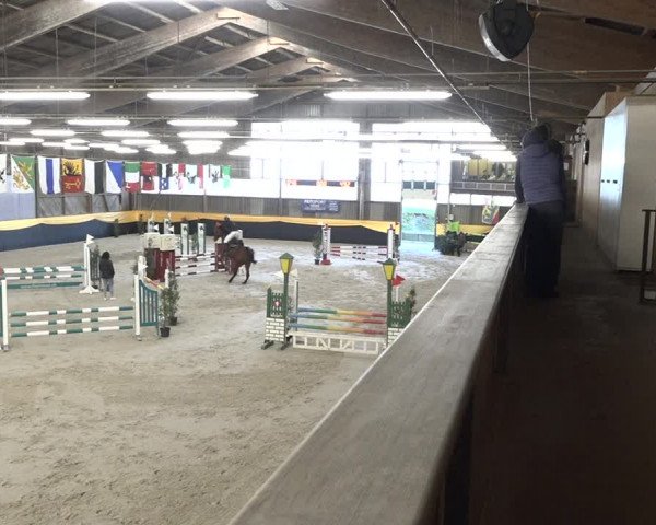 Reitturnier Erlen 2024