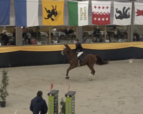Reitturnier Erlen 2024