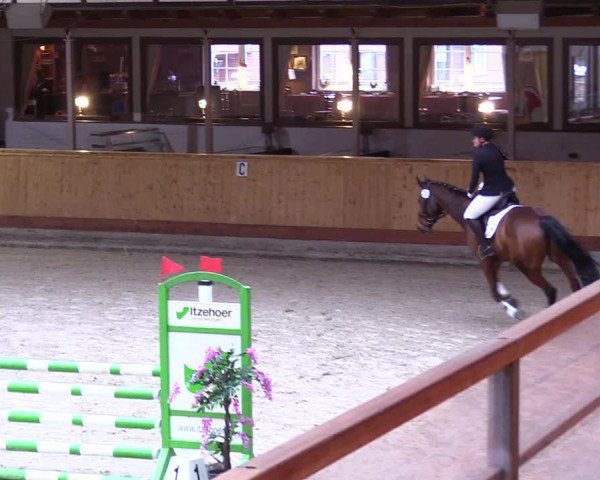 Reitturnier Hamburg-Friedrichshulde/Sylva Kuhrt 2024