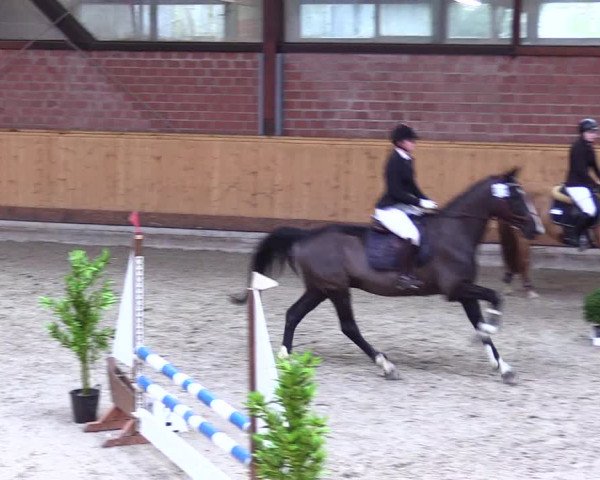 Reitturnier Hamburg-Friedrichshulde/Sylva Kuhrt 2024