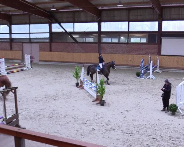 Reitturnier Hamburg-Friedrichshulde/Sylva Kuhrt 2024