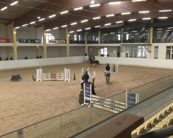 Reitturnier Stadl-Paura 2024