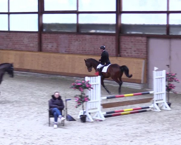 Reitturnier Hamburg-Friedrichshulde/Sylva Kuhrt 2024