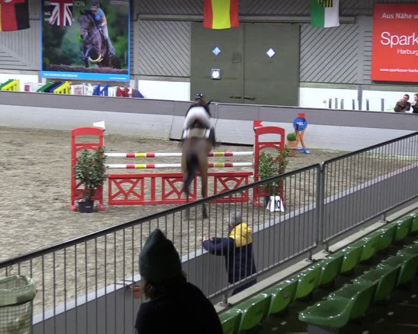 Reitturnier Luhmühlen 2024