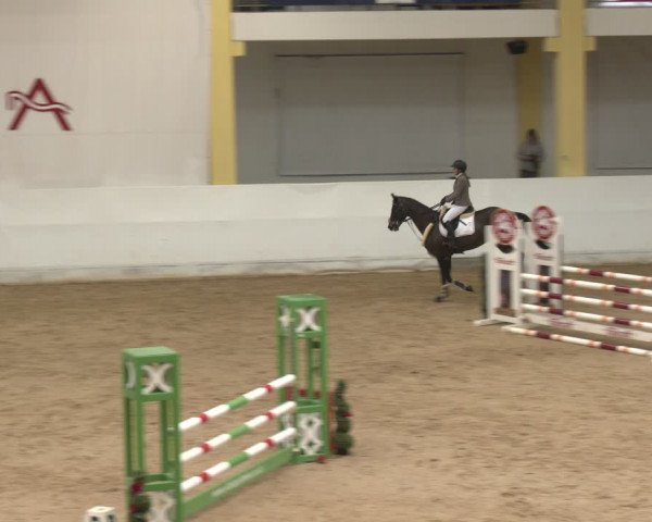 Reitturnier Stadl-Paura 2024
