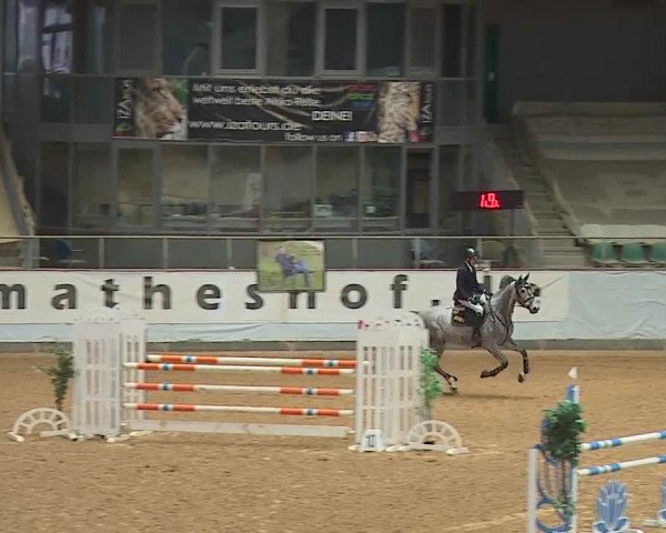 Reitturnier Kreuth/Opf. 2024