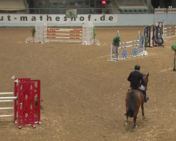 Reitturnier Kreuth/Opf. 2024