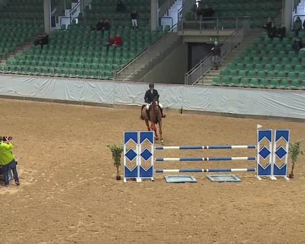 Reitturnier Kreuth/Opf. 2024