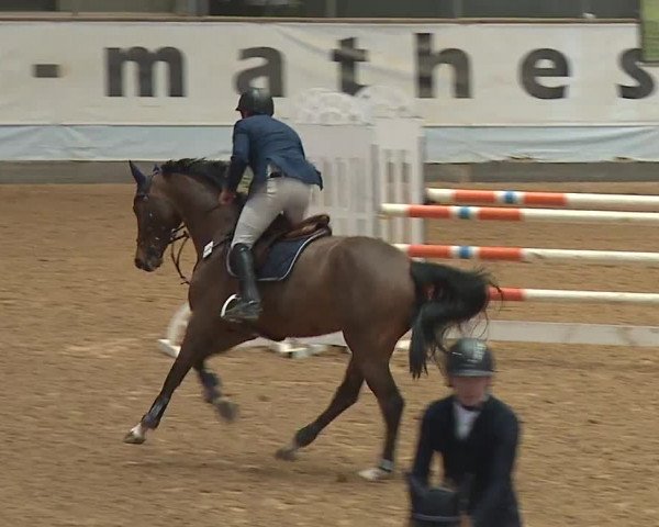 Reitturnier Kreuth/Opf. 2024