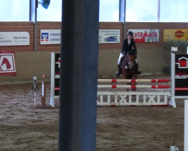 Reitturnier Lembeck 2024