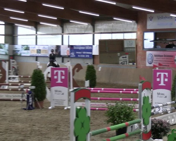 Reitturnier Altenberge 2024