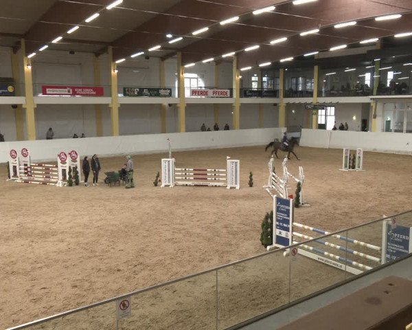Reitturnier Stadl-Paura 2024