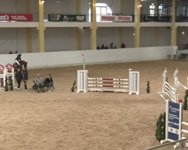 Reitturnier Stadl-Paura 2024
