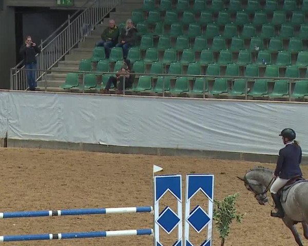 Reitturnier Kreuth/Opf. 2024