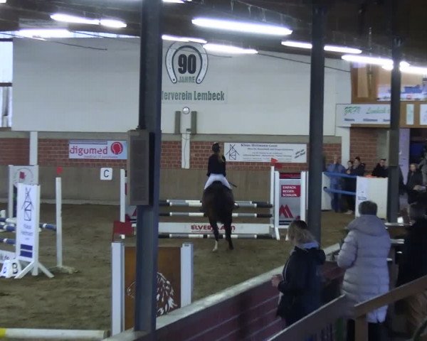 Reitturnier Lembeck 2024