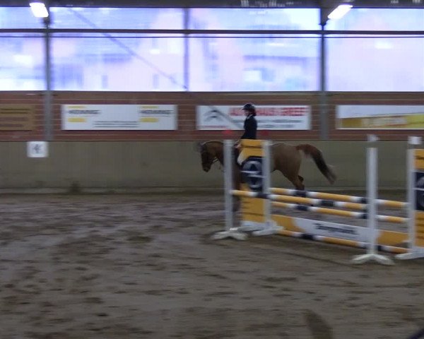 Reitturnier Lembeck 2024