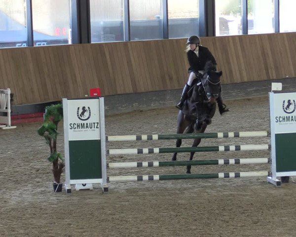 Reitturnier Zwickau 2024