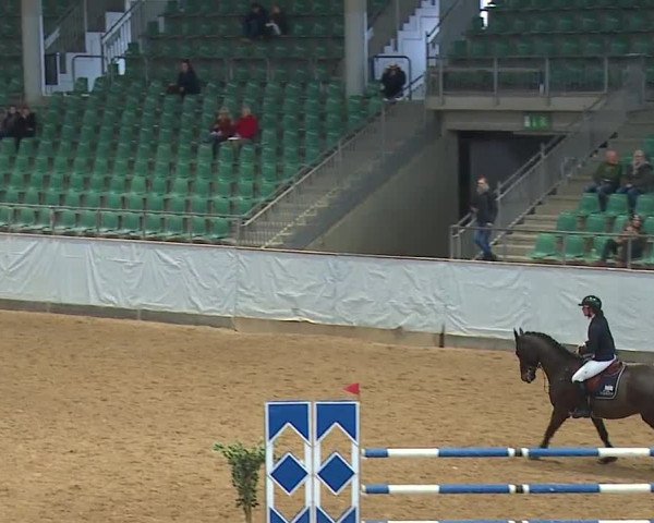 Reitturnier Kreuth/Opf. 2024