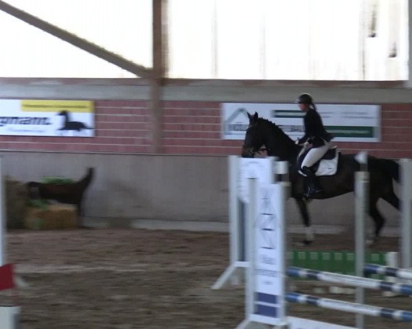 Reitturnier Lembeck 2024