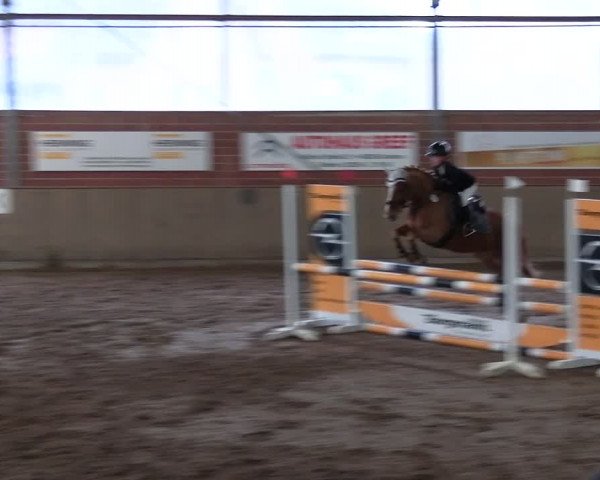 Reitturnier Lembeck 2024