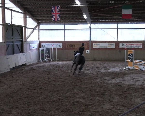 Reitturnier Lembeck 2024