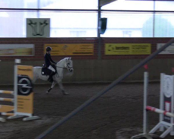 Reitturnier Lembeck 2024