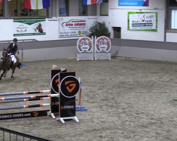 Reitturnier Luhmühlen 2024