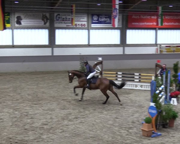 Reitturnier Luhmühlen 2024