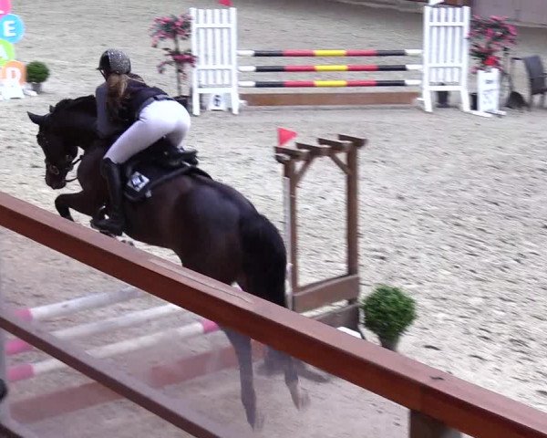 Reitturnier Hamburg-Friedrichshulde/Sylva Kuhrt 2024
