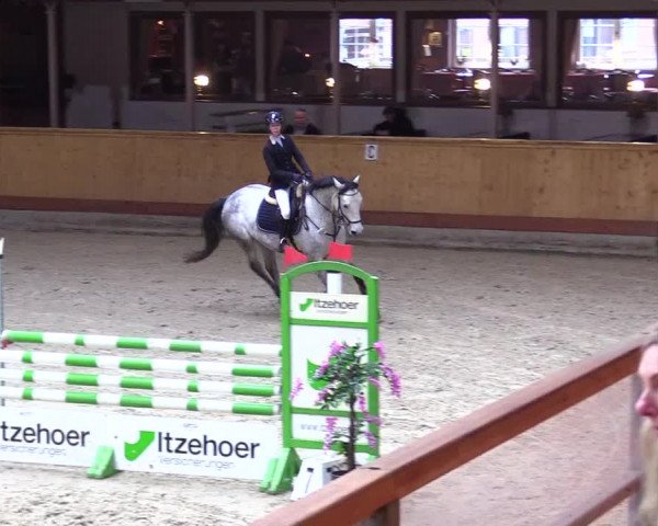 Reitturnier Hamburg-Friedrichshulde/Sylva Kuhrt 2024