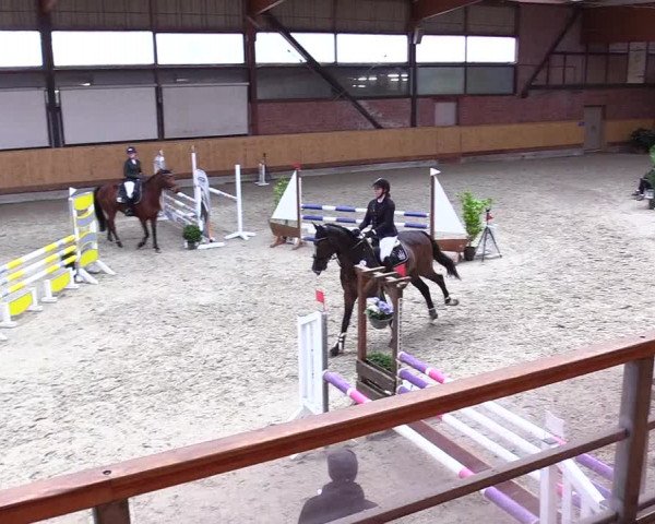 Reitturnier Hamburg-Friedrichshulde/Sylva Kuhrt 2024