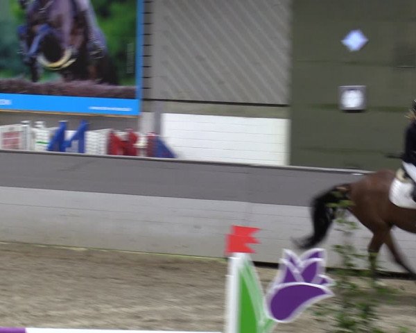 Reitturnier Luhmühlen 2024