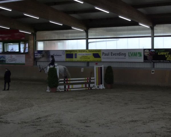 Reitturnier Altenberge 2024