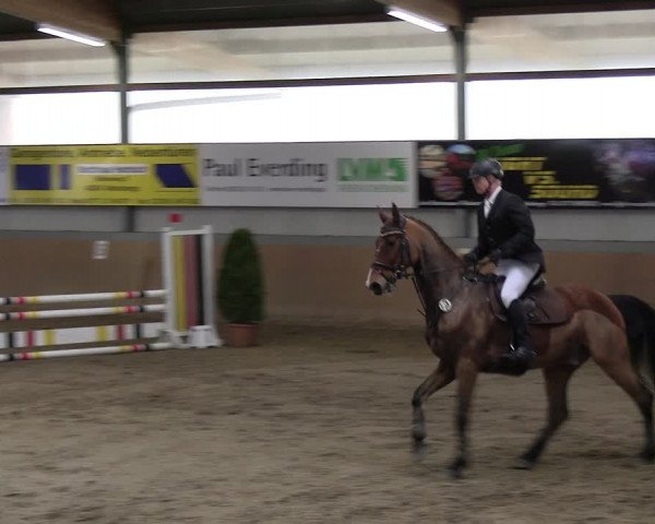 Reitturnier Altenberge 2024