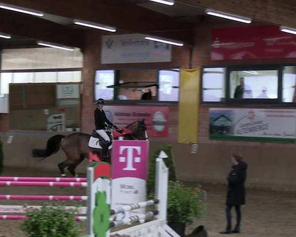 Reitturnier Altenberge 2024